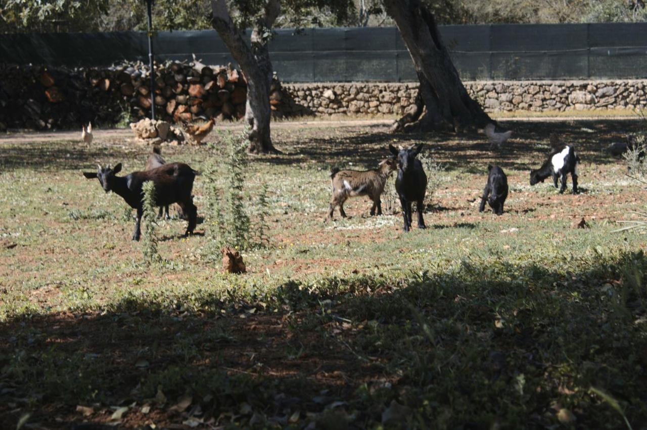 Tenuta Ferraro Gallipoli Kültér fotó