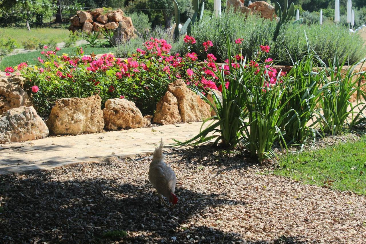 Tenuta Ferraro Gallipoli Kültér fotó