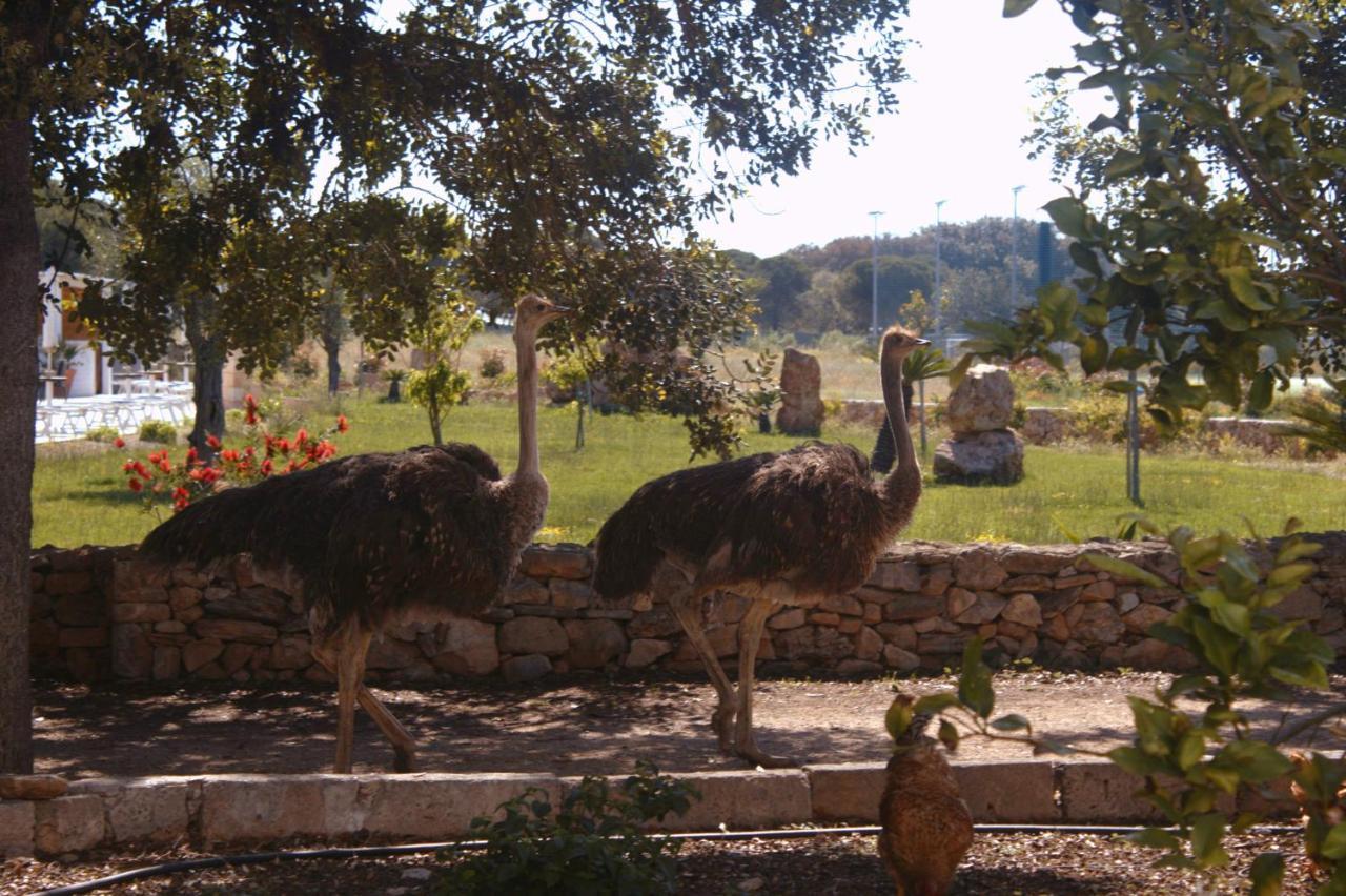 Tenuta Ferraro Gallipoli Kültér fotó