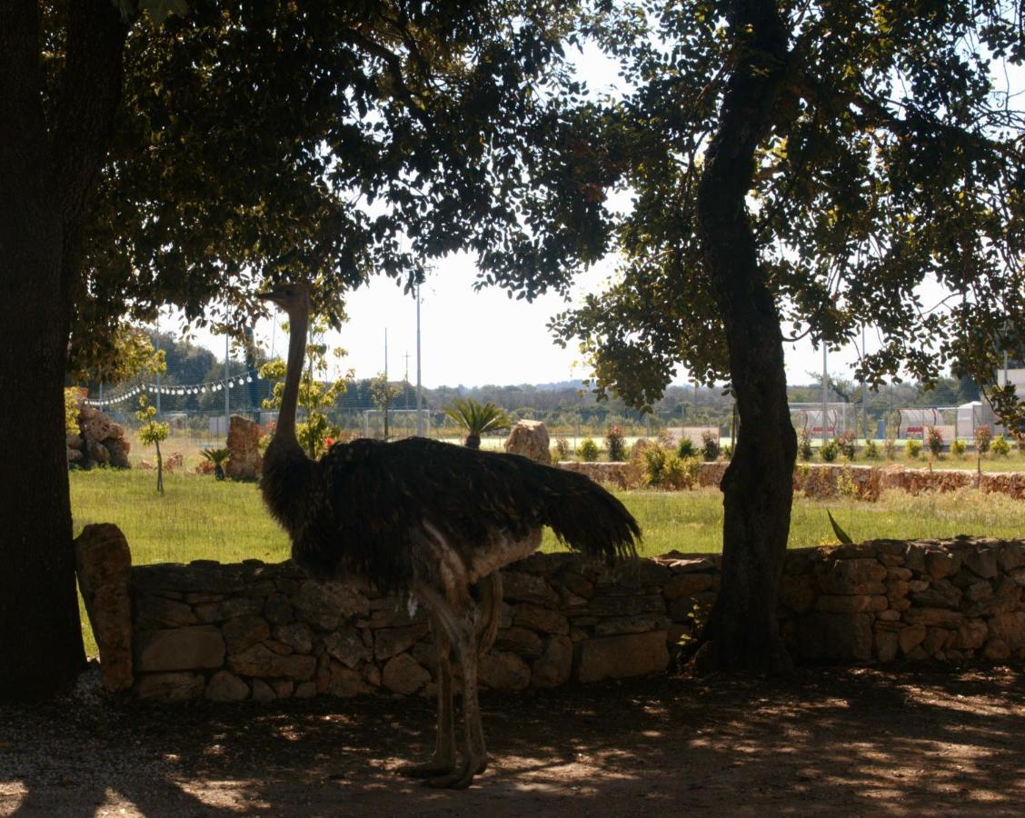 Tenuta Ferraro Gallipoli Kültér fotó