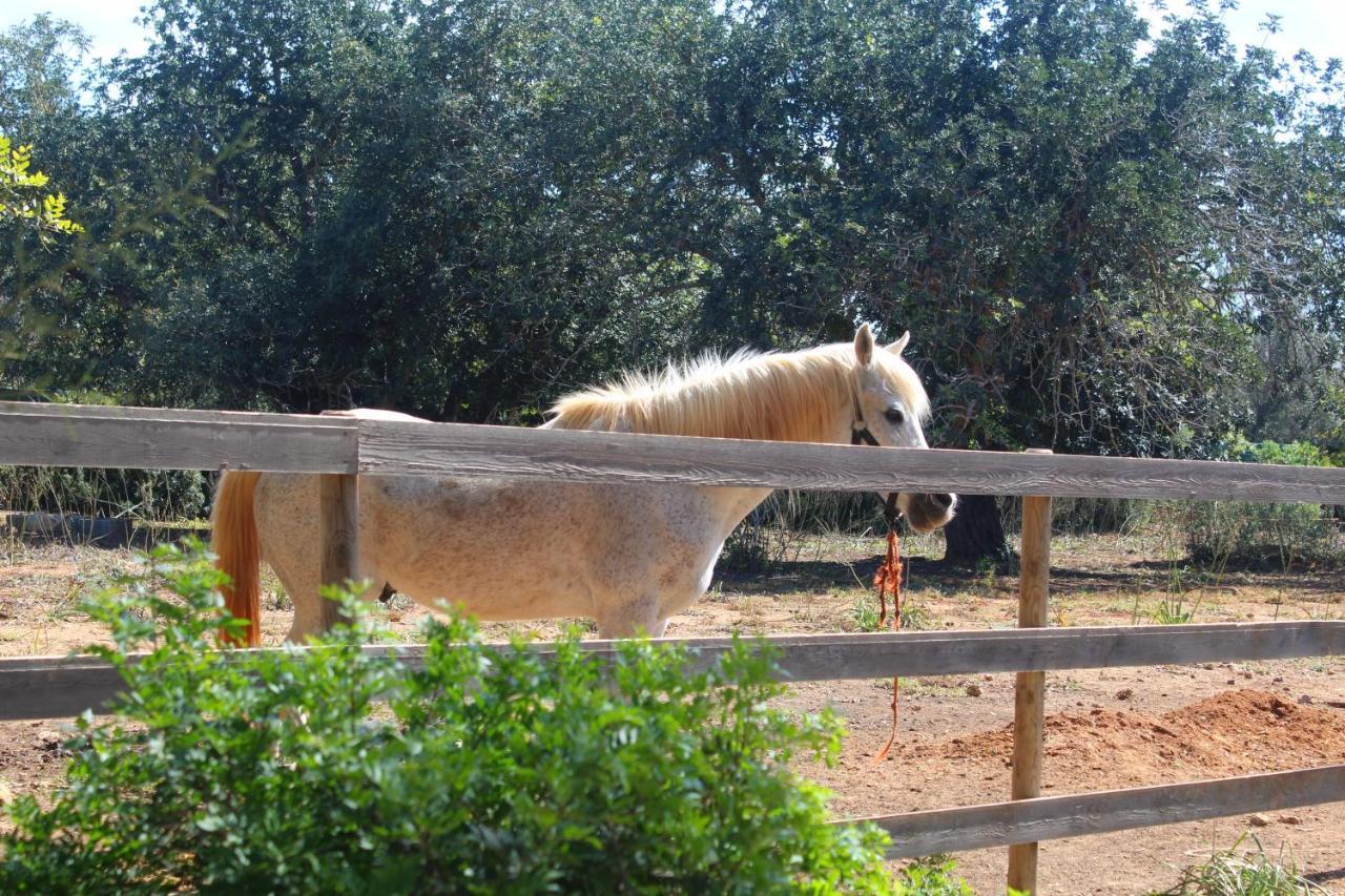 Tenuta Ferraro Gallipoli Kültér fotó