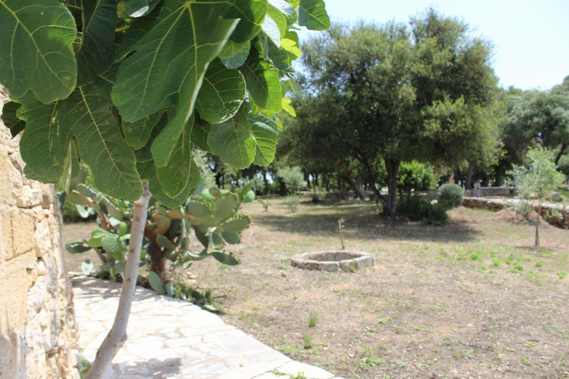 Tenuta Ferraro Gallipoli Kültér fotó
