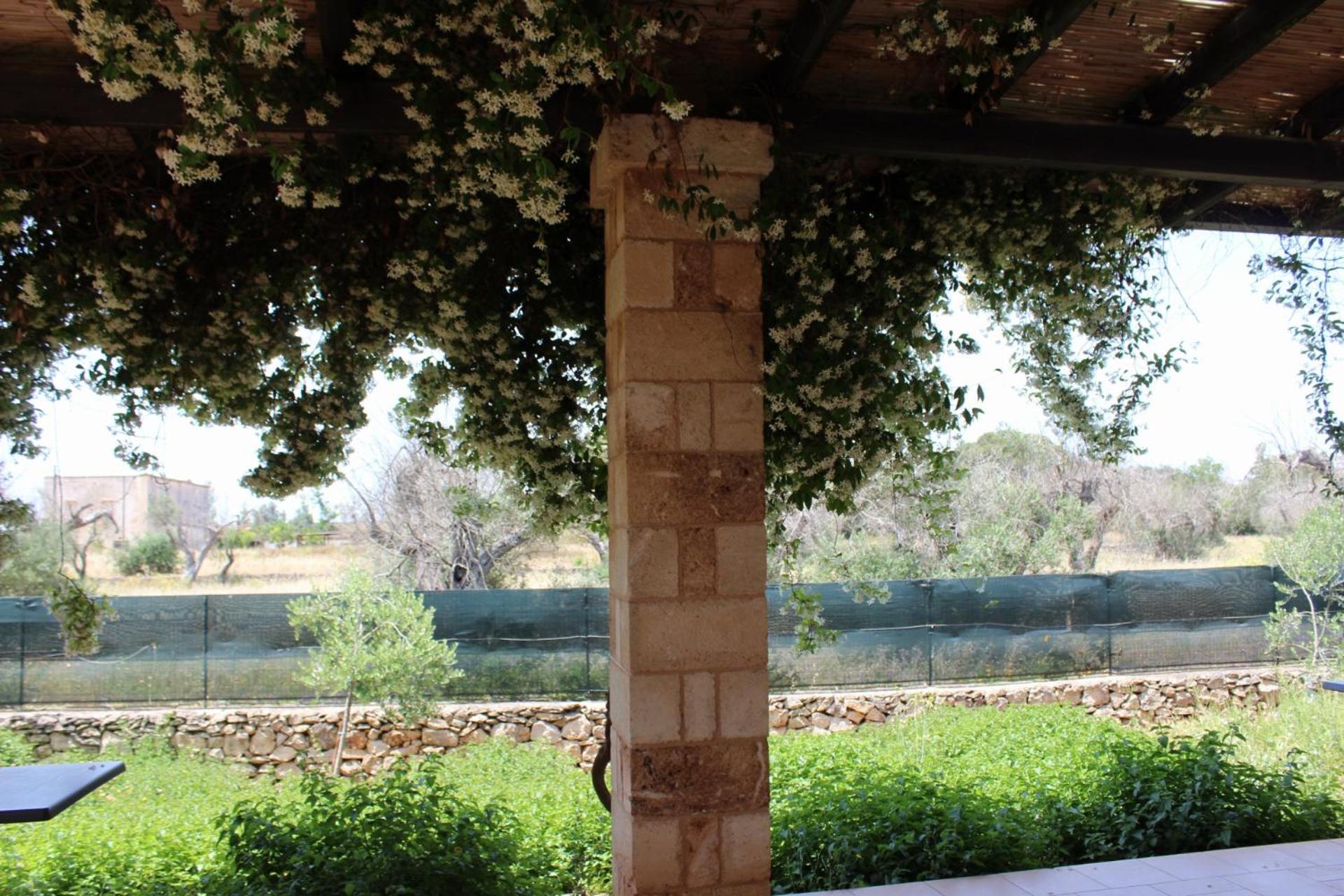 Tenuta Ferraro Gallipoli Kültér fotó